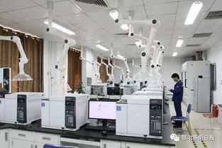 一季度鄂尔多斯经济运行总体平稳向好，计算机系统集成产业展现活力