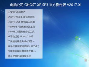 深度解析 电脑公司 Ghost XP SP3 官方稳定版 v2017.01 在数据处理中的应用与价值